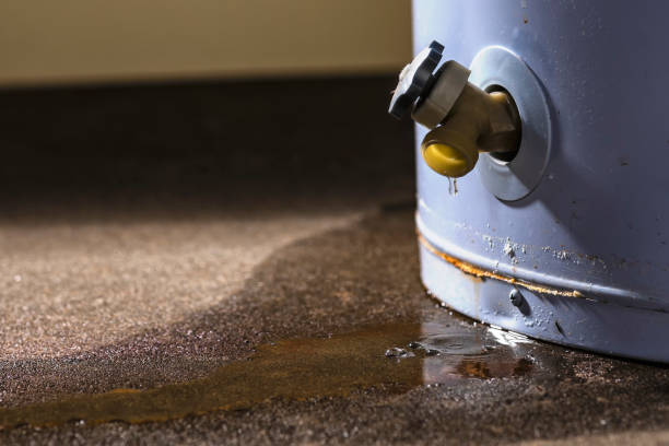 Best Flooded house restoration  in Maple Valley, WA