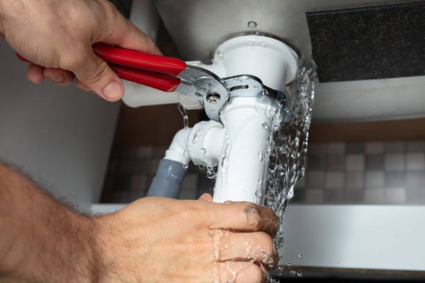 Best Mold removal after water damage  in Maple Valley, WA