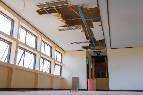 Best Basement water damage restoration  in Maple Valley, WA