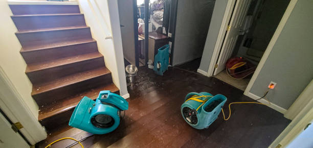 Best Water damage cleanup near me  in Maple Valley, WA
