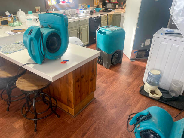 Best 24-hour water damage restoration  in Maple Valley, WA