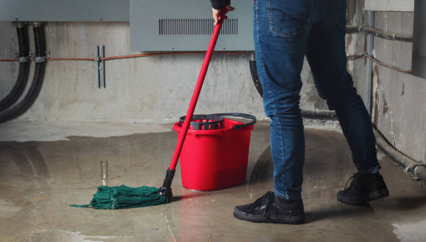Best Sewage cleanup and water damage restoration  in Maple Valley, WA