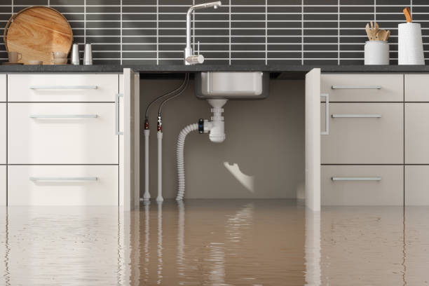 Best Flood damage cleanup  in Maple Valley, WA