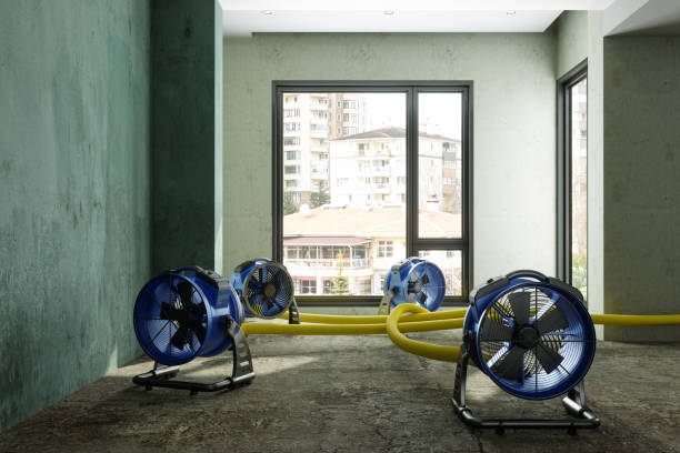 Trusted Maple Valley, WA Water damage restoration Experts